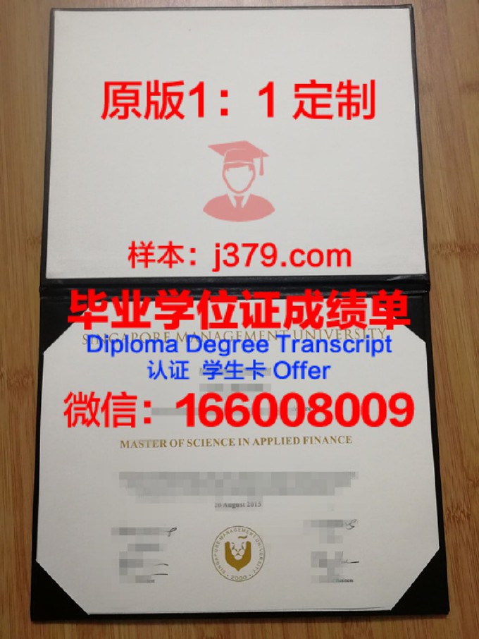 苏伊士运河大学diploma